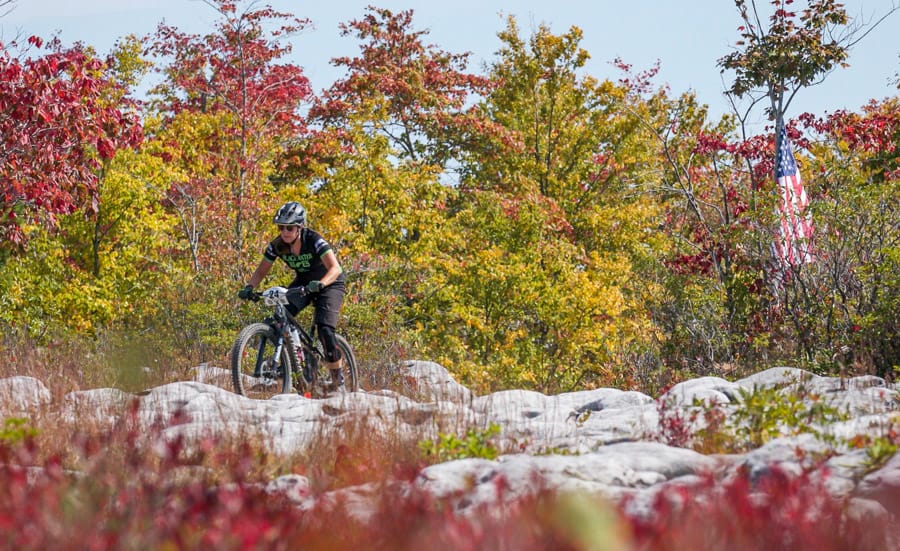 The Tale of Two Races: Revenge of the Rattlesnake and Little Sugar 100K